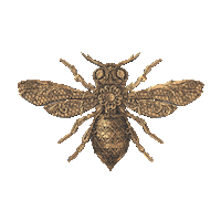 Dubai Tokyo Sticker by Soho Garden