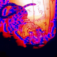 Glitch Tiger GIF by Ø$iⱤ!$