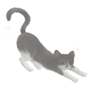 Tuxedo Cat Sticker