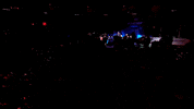 Run Out New York GIF by New York Riptide