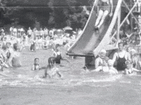 europeana summer water swimming summertime GIF