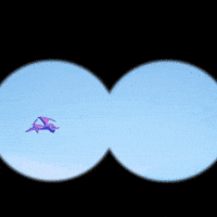 Exploring Wild Life GIF by Claynosaurz