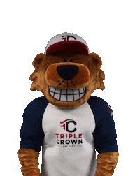 Lets Go Yes Sticker by TripleCrownSports