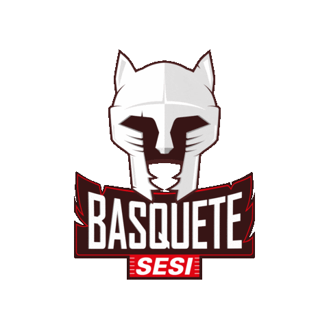 sesisaopaulo giphygifmaker esporte jogo basquete Sticker