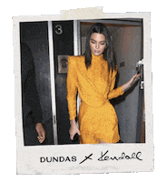 Polaroid Kendall Sticker by Dundas World