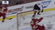 happy ice hockey GIF by NHL
