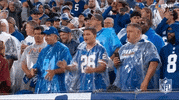 Regular Season Football GIF by NFL