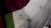 GIF by Mashable