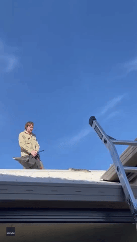 Aussie Snake Catcher Removes 'Stunning' Python From Queensland Roof