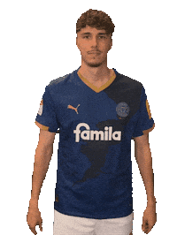 2 Bundesliga Football Sticker by Holstein Kiel
