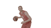 Bouncing Liga Endesa Sticker by ACB