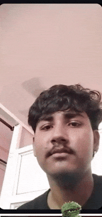 Bear Chapri GIF