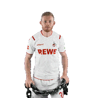 Fc Cologne Bundesliga Sticker by 1. FC Köln