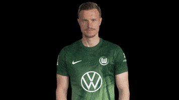 Germany No GIF by VfL Wolfsburg