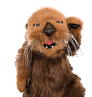 Sea Otter Cheer Sticker by Aquarium of the Pacific