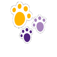 Panthers Sticker by UNI Athletics