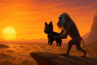 Im Him Lion King GIF by Terry Toto