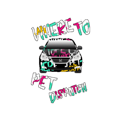 Dog Day Cat Sticker by WHERE TO PET ?