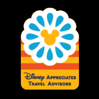 Disneyappreciatestraveladvisors GIF by Disney Travel Professionals