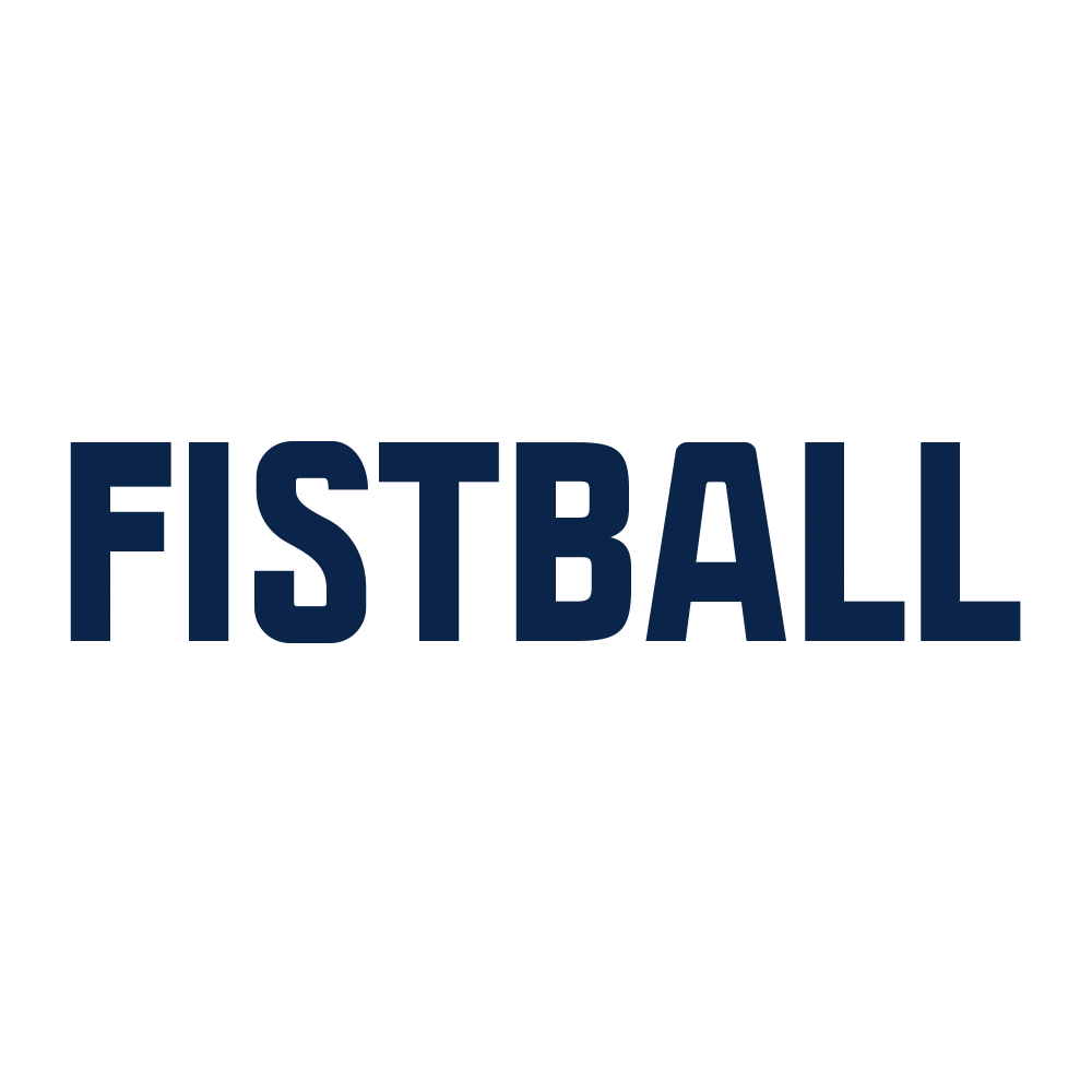 Sport Ball Sticker by Faustball Traun - St.Martin