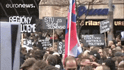Demonstration GIF by euronews
