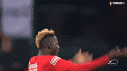 football coyr GIF by Standard de Liège