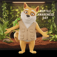 Happy Friends GIF by Doge Pound