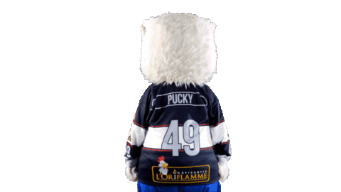 Hockey Ice Sticker by Les Ducs d'Angers