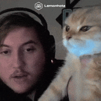Elraenn Rane GIF