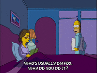 Episode 15 GIF by The Simpsons