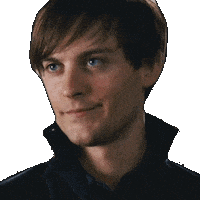 Spider-Man Whatever Sticker