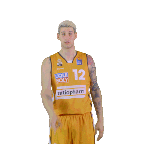 swipe up game on Sticker by easyCredit Basketball Bundesliga