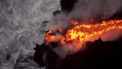 symphony for our world GIF by Nat Geo Wild 