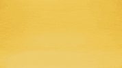 Stop Motion GIF by Paxeros