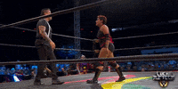 GIF by Lucha Libre AAA