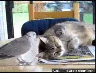 bored GIF