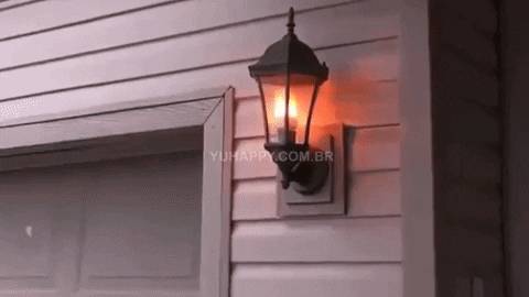 marcelocorra354f giphyupload GIF