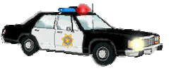 police STICKER