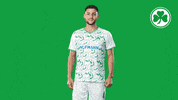 Goal Yes GIF by SpVgg Greuther Fürth