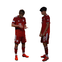 fcbayerncampus football soccer fussball fc bayern Sticker