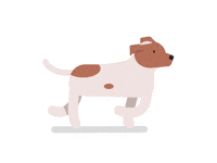 Sexydexy Sticker by Red Beard