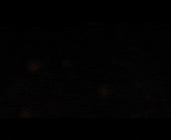 New Haven Fire GIF by District Dave