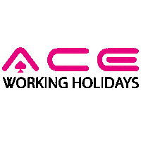 Summer Ace Sticker by AceWorkingHolidays