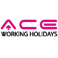 Summer Ace Sticker by AceWorkingHolidays
