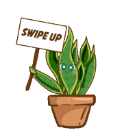 Sticker by Mr. Houseplant