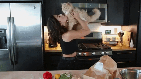 Over It Cat GIF by Megan Batoon