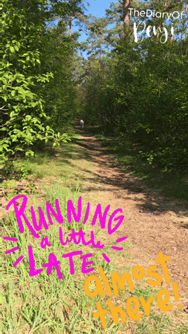 Benji Running GIF