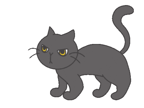 Bingo 박은빈 Sticker