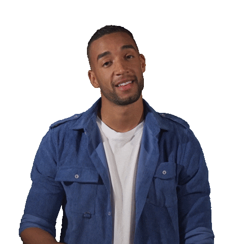 Wave Hello Sticker by Videoland