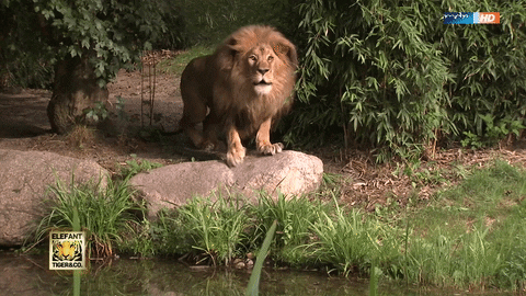 GIF by Mitteldeutscher Rundfunk